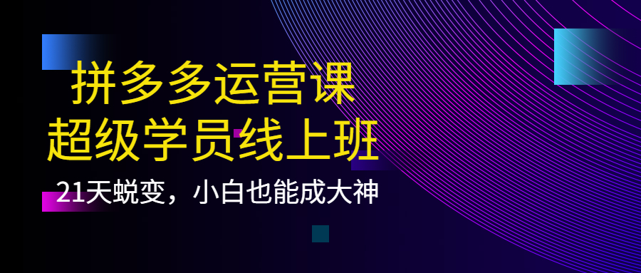 拼多多运营课：超级学员线上班，21天蜕变，小白也能成大神-