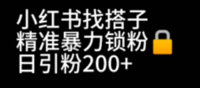 小红书找搭子暴力精准锁粉+引流日引200+精准粉-