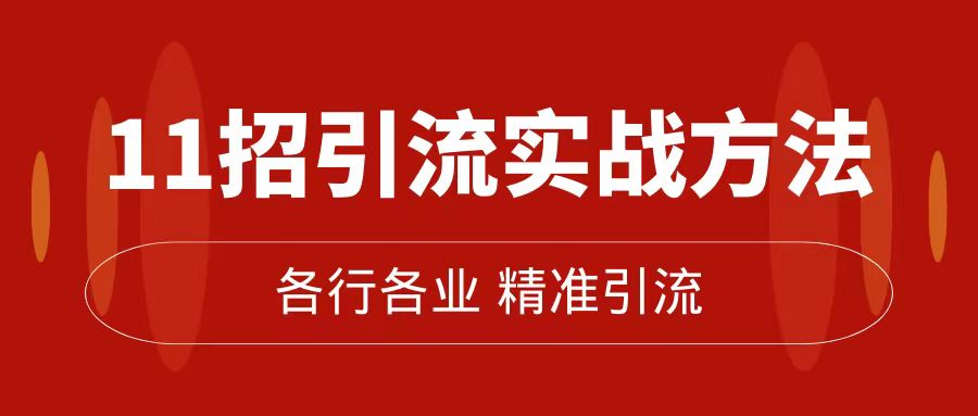 精准引流术：11招引流实战方法，让你私域流量加到爆（11节课完整版）-