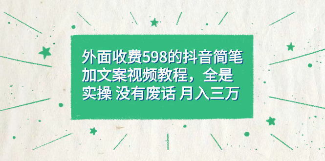 外面收费598抖音简笔加文案教程，全是实操 没有废话 月入三万（教程+资料）-