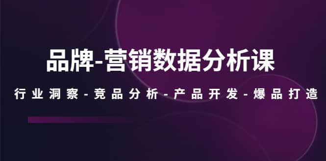 品牌-营销数据分析课，行业洞察-竞品分析-产品开发-爆品打造-