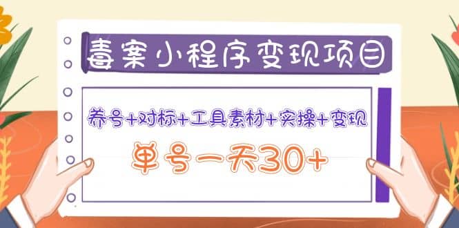 毒案小程序变现项目：养号+对标+工具素材+实操+变现-