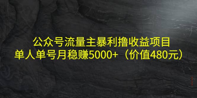 公众号流量主暴利撸收益项目，单人单号月稳赚5000+（价值480元）-