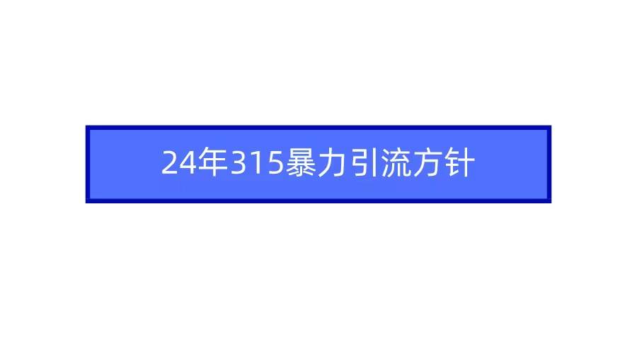 2024年315暴力引流方针-