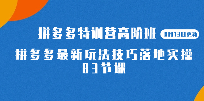 2023拼多多·特训营高阶班【9月13日更新】拼多多最新玩法技巧落地实操-83节-