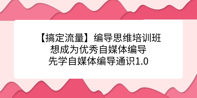 【搞定流量】编导思维培训班，想成为优秀自媒体编导先学自媒体编导通识1.0-