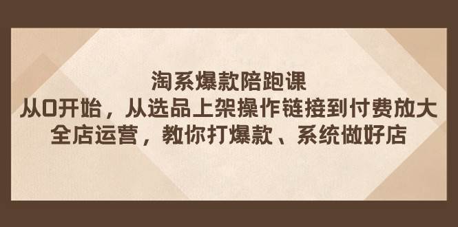 淘系爆款陪跑课 从选品上架操作链接到付费放大 全店运营 打爆款 系统做好店-