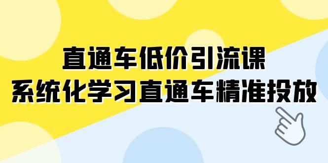 直通车-低价引流课，系统化学习直通车精准投放（14节课）-