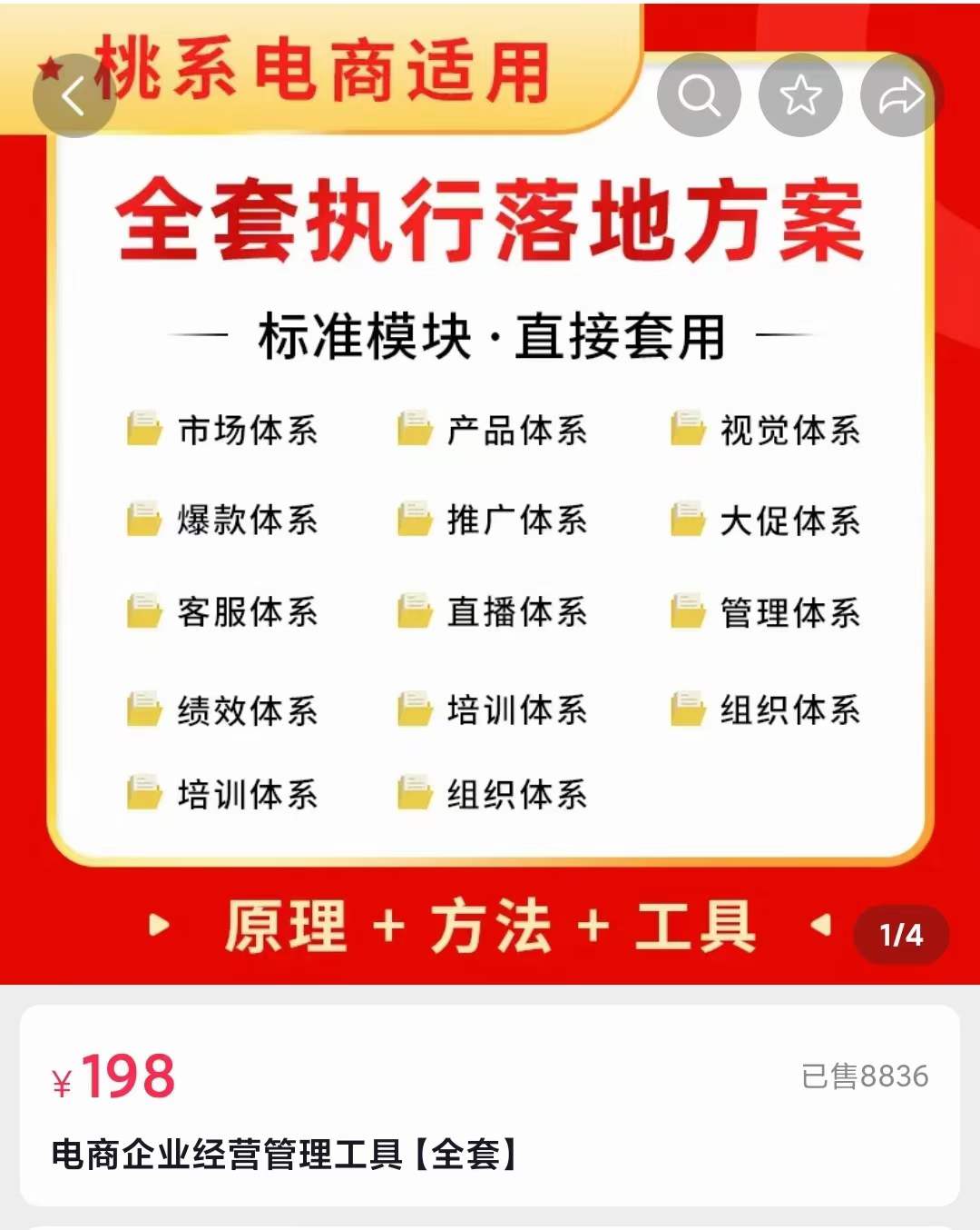 外面卖198·电商企业经营管理工具：全套执行落地方案 标准模块·直接套用-