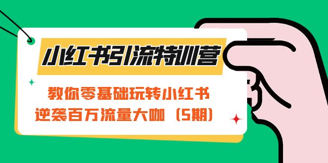 小红书引流特训营-第5期：教你零基础玩转小红书，逆袭百万流量大咖-