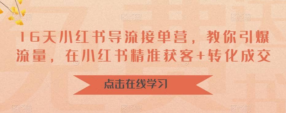 16天-小红书 导流接单营，教你引爆流量，在小红书精准获客+转化成交-