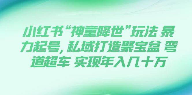 小红书“神童降世”玩法 暴力起号,私域打造聚宝盆 弯道超车 实现年入几十万-