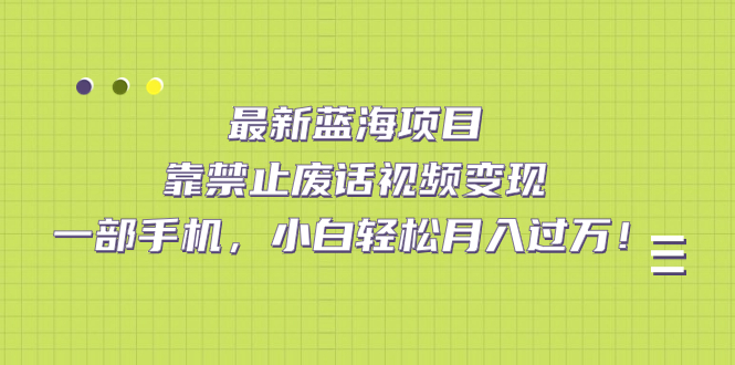 最新蓝海项目，靠禁止废话视频变现，一部手机，小白轻松月入过万！-