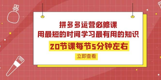 拼多多运营必修课：20节课每节5分钟左右，用最短的时间学习最有用的知识-