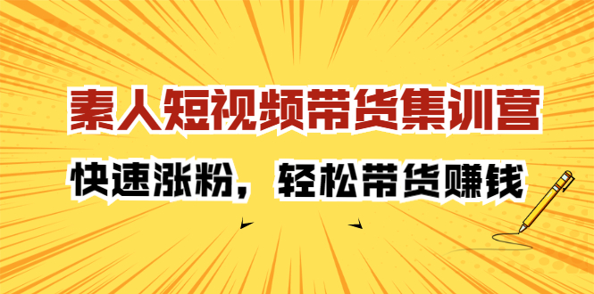 素人短视频带货集训营：快速涨粉，轻松带货赚钱-