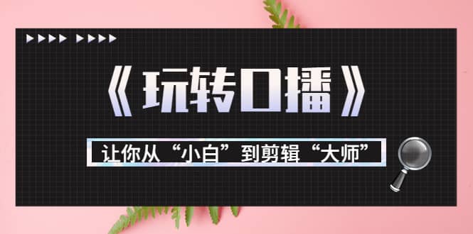 月营业额700万+大佬教您《玩转口播》让你从“小白”到剪辑“大师”-