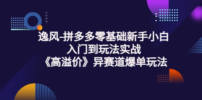 拼多多零基础新手小白入门到玩法实战《高溢价》异赛道爆单玩法实操课-