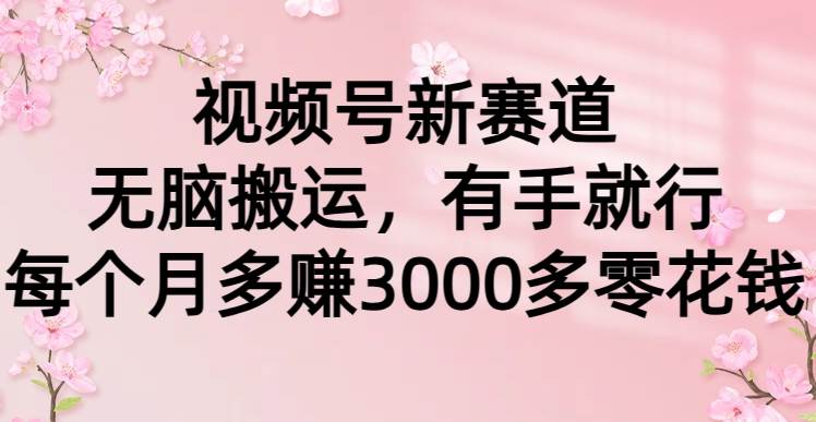 视频号新赛道，无脑搬运，有手就行，每个月多赚3000多零花钱-