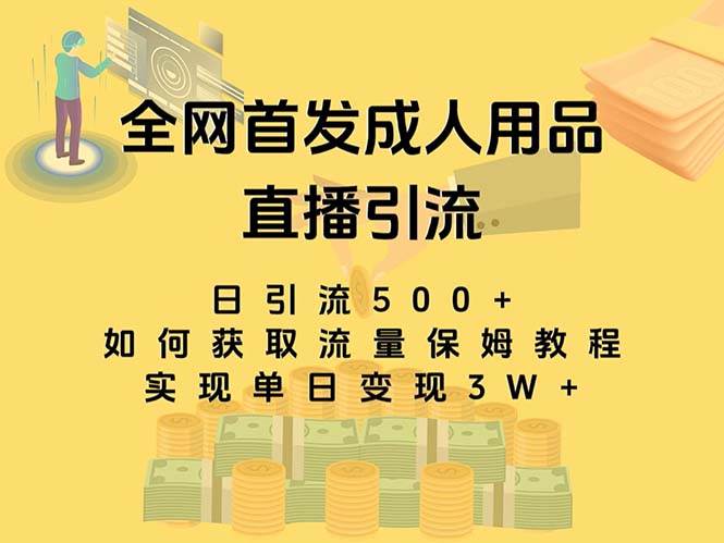 最新全网独创首发，成人用品直播引流获客暴力玩法，单日变现3w保姆级教程-