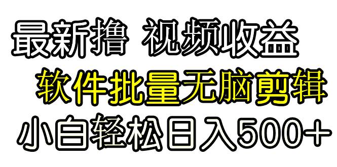 发视频撸收益，软件无脑批量剪辑，第一天发第二天就有钱-