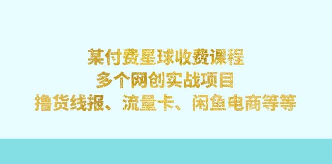 某付费星球课程：多个网创实战项目，撸货线报、流量卡、闲鱼电商等等-