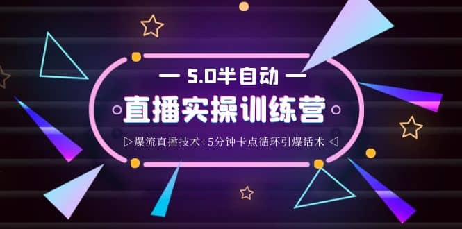 蚂蚁·5.0半自动直播2345打法，半自动爆流直播技术+5分钟卡点循环引爆话术-