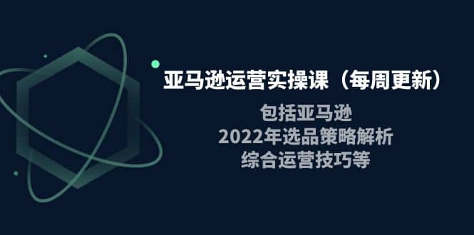 亚马逊运营实操课（每周更新）包括亚马逊2022选品策略解析，综合运营技巧等-