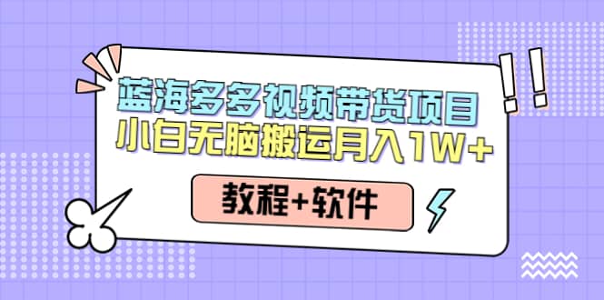 人人都能操作的蓝海多多视频带货项目 小白无脑搬运（教程+软件）-