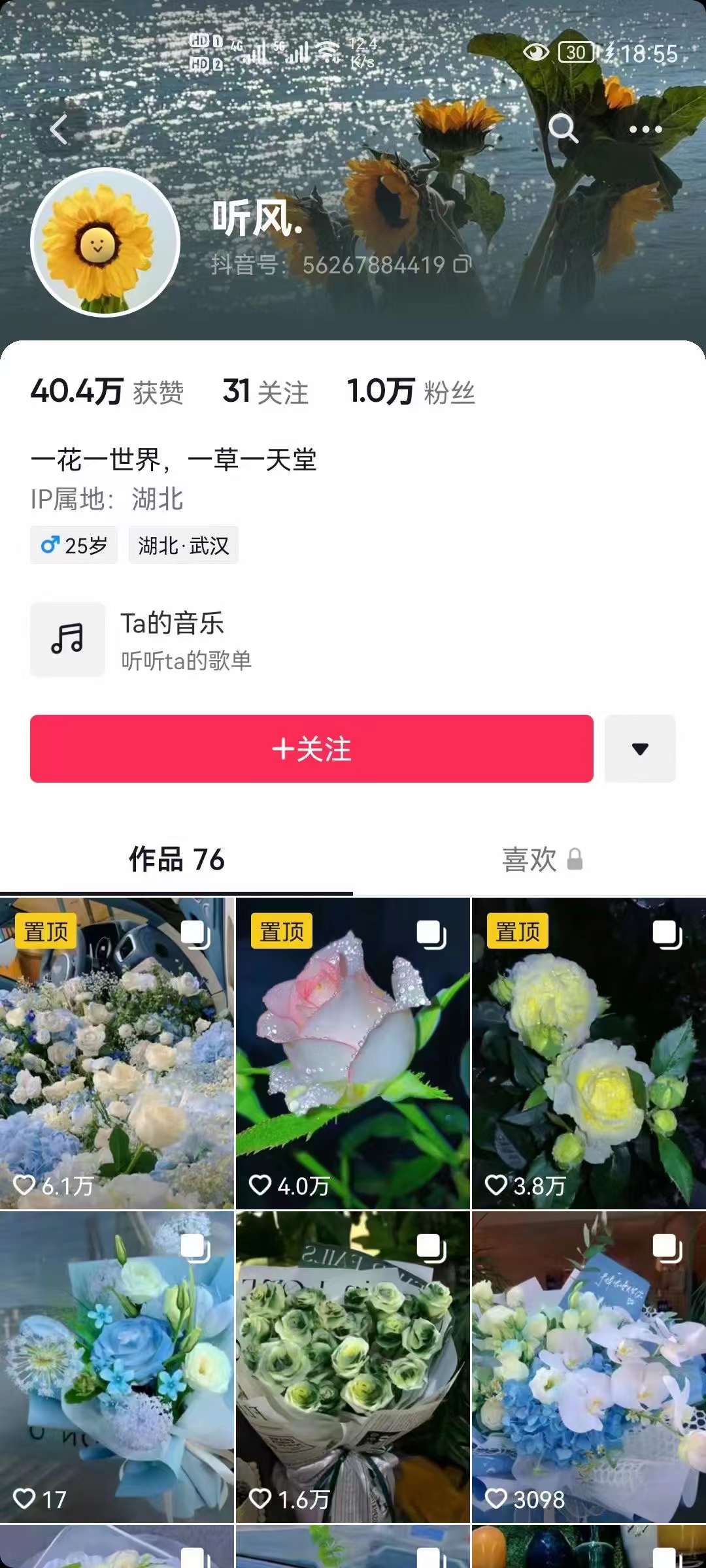 图片[2]-抖音壁纸变现项目：实战日入380+发布壁纸素材获取收益！-