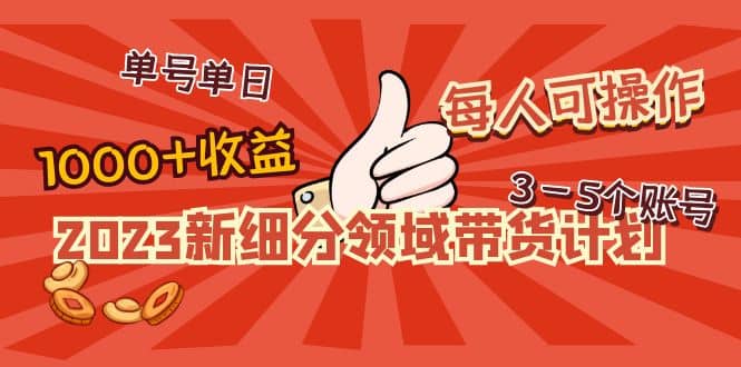 2023新细分领域带货计划：单号单日1000+收益不难，每人可操作3-5个账号-