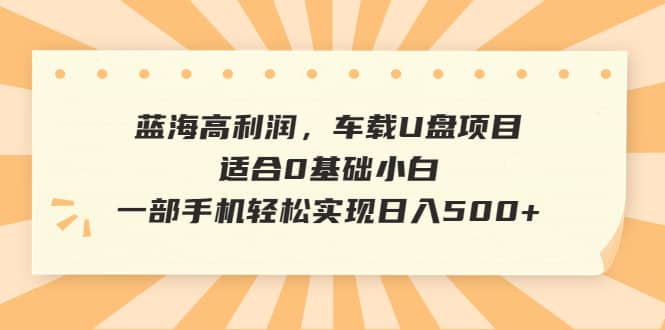 蓝海高利润，车载U盘项目，适合0基础小白，一部手机轻松实现日入500+-