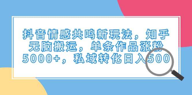 抖音情感共鸣新玩法，知乎无脑搬运，单条作品涨粉5000+，私域转化日入500-