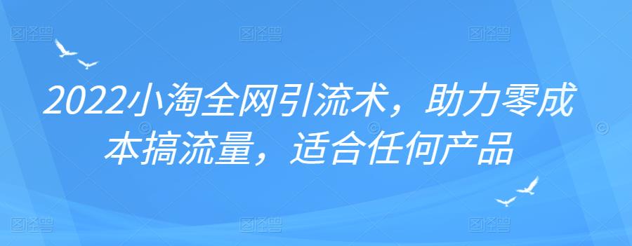 2022年小淘全网引流术，助力零成本搞流量，适合任何产品-