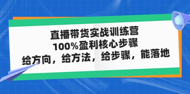 直播带货实战训练营：100%盈利核心步骤，给方向，给方法，给步骤，能落地-