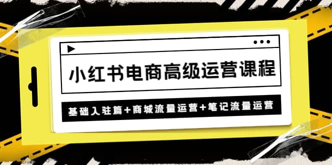 小红书电商高级运营课程：基础入驻篇+商城流量运营+笔记流量运营-