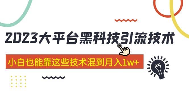 价值4899的2023大平台黑科技引流技术 29节课-