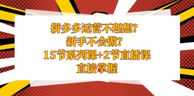 拼多多运营不理想？新手不会做？15节系列课+2节直播课，直接掌握-