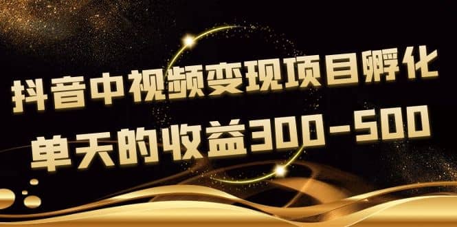 黄岛主《抖音中视频变现项目孵化》单天的收益300-500 操作简单粗暴-