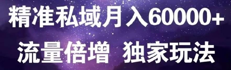 原力网赚精准私域月入60000+,流量倍增独家玩法-