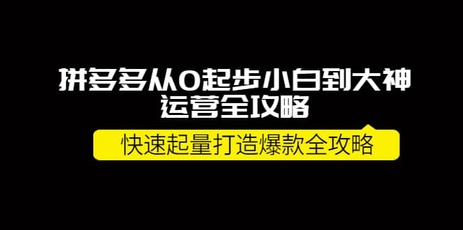 拼多多从0起步小白到大神运营全攻略-