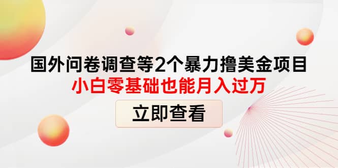 国外问卷调查等2个暴力撸美元项目，小白零基础也能月入过万-