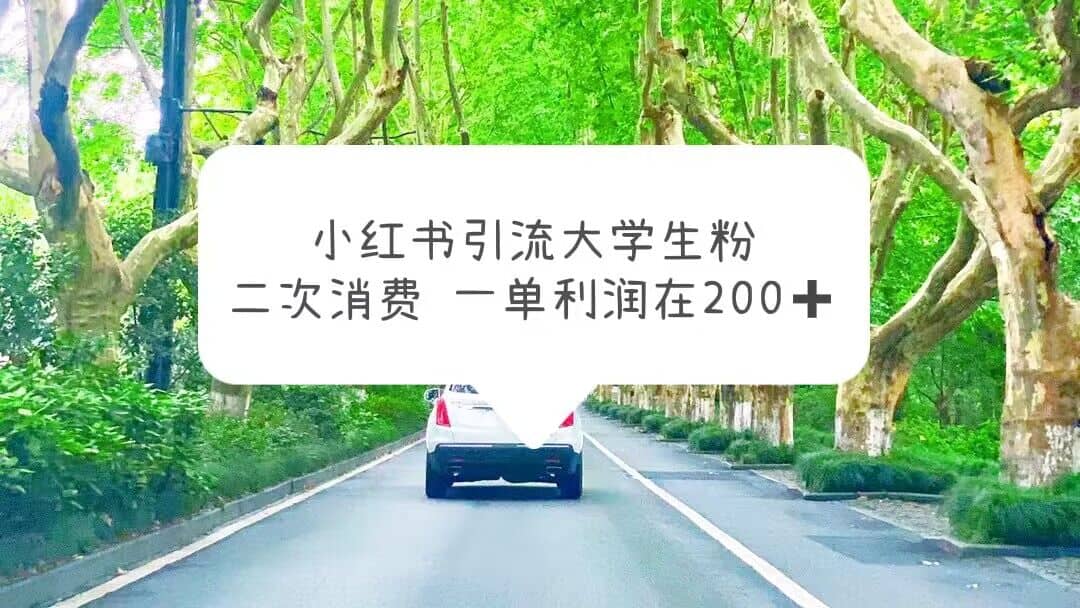 小红书引流大学生粉，变现项目，一单利润在200+（教程+资源）-