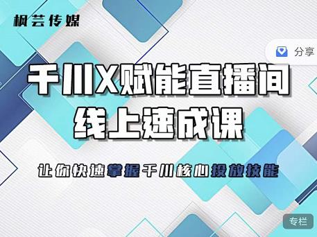 枫芸传媒-线上千川提升课，提升千川认知，提升千川投放效果-