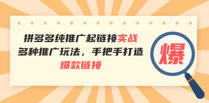 拼多多纯推广起链接实战：多种推广玩法，手把手打造爆款链接-