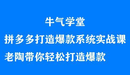 牛气学堂拼多多打造爆款系统实战课，老陶带你轻松打造爆款-