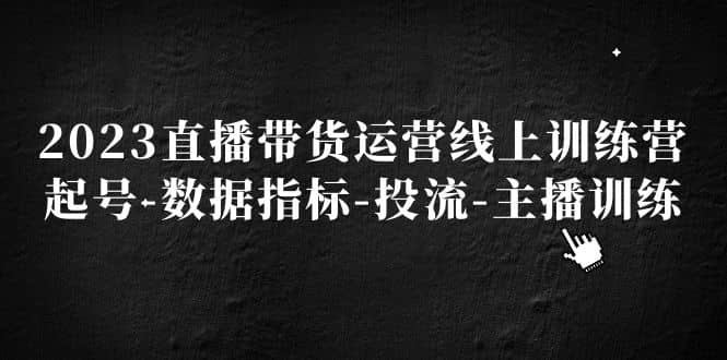 2023直播带货运营线上训练营，起号-数据指标-投流-主播训练-