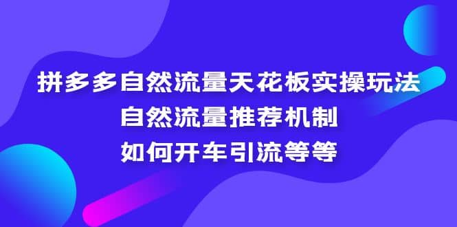 拼多多自然流量天花板实操玩法：自然流量推荐机制，如何开车引流等等-