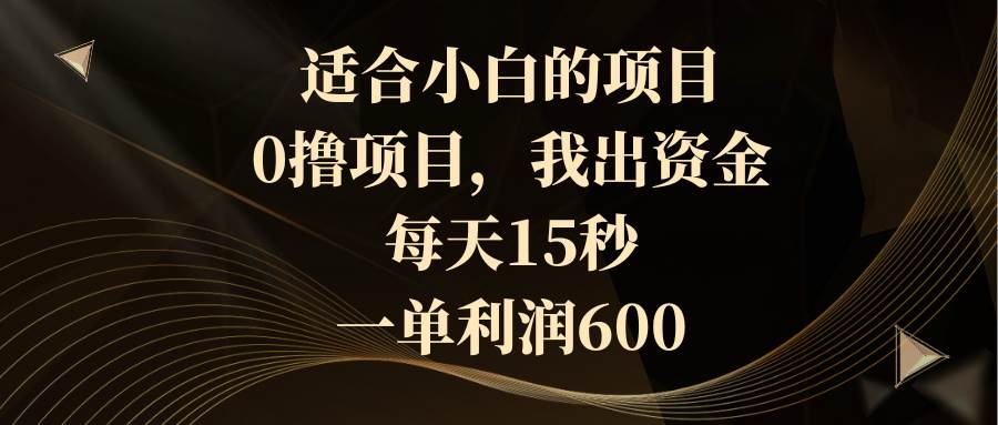 适合小白的项目，0撸项目，我出资金，每天15秒，一单利润600-