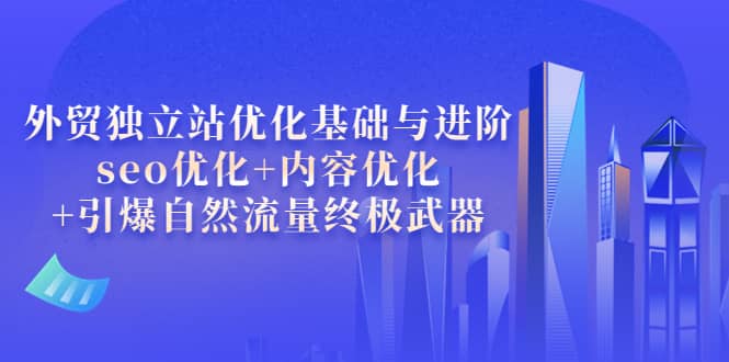 外贸独立站优化基础与进阶，seo优化+内容优化+引爆自然流量终极武器-