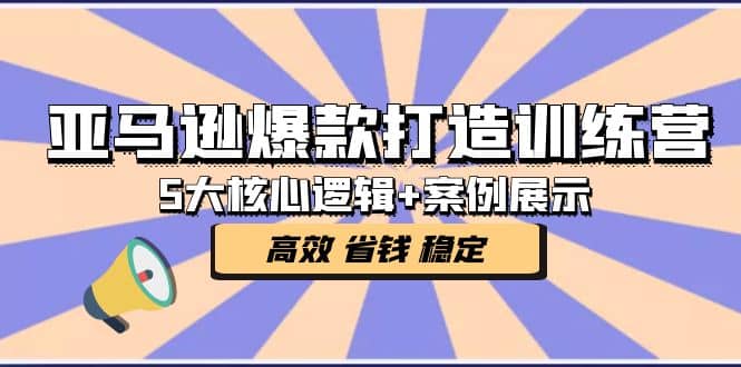 亚马逊爆款打造训练营：5大核心逻辑+案例展示 打造爆款链接 高效 省钱 稳定-